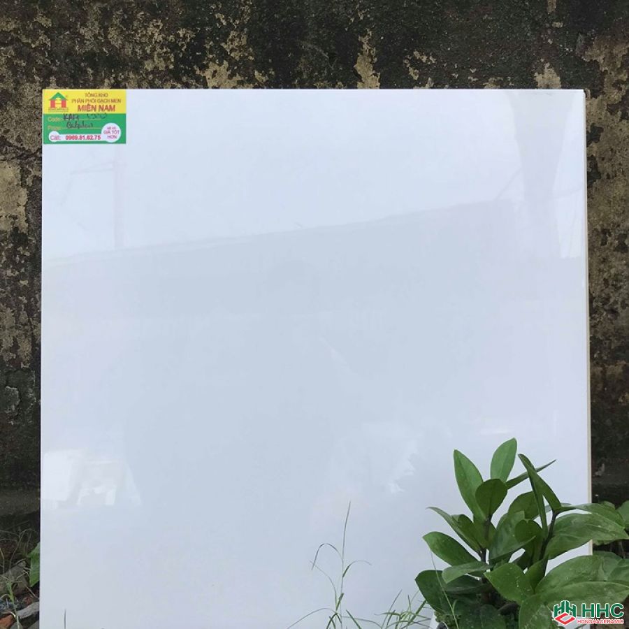 Gạch lát nền catalan 60x60 K176000